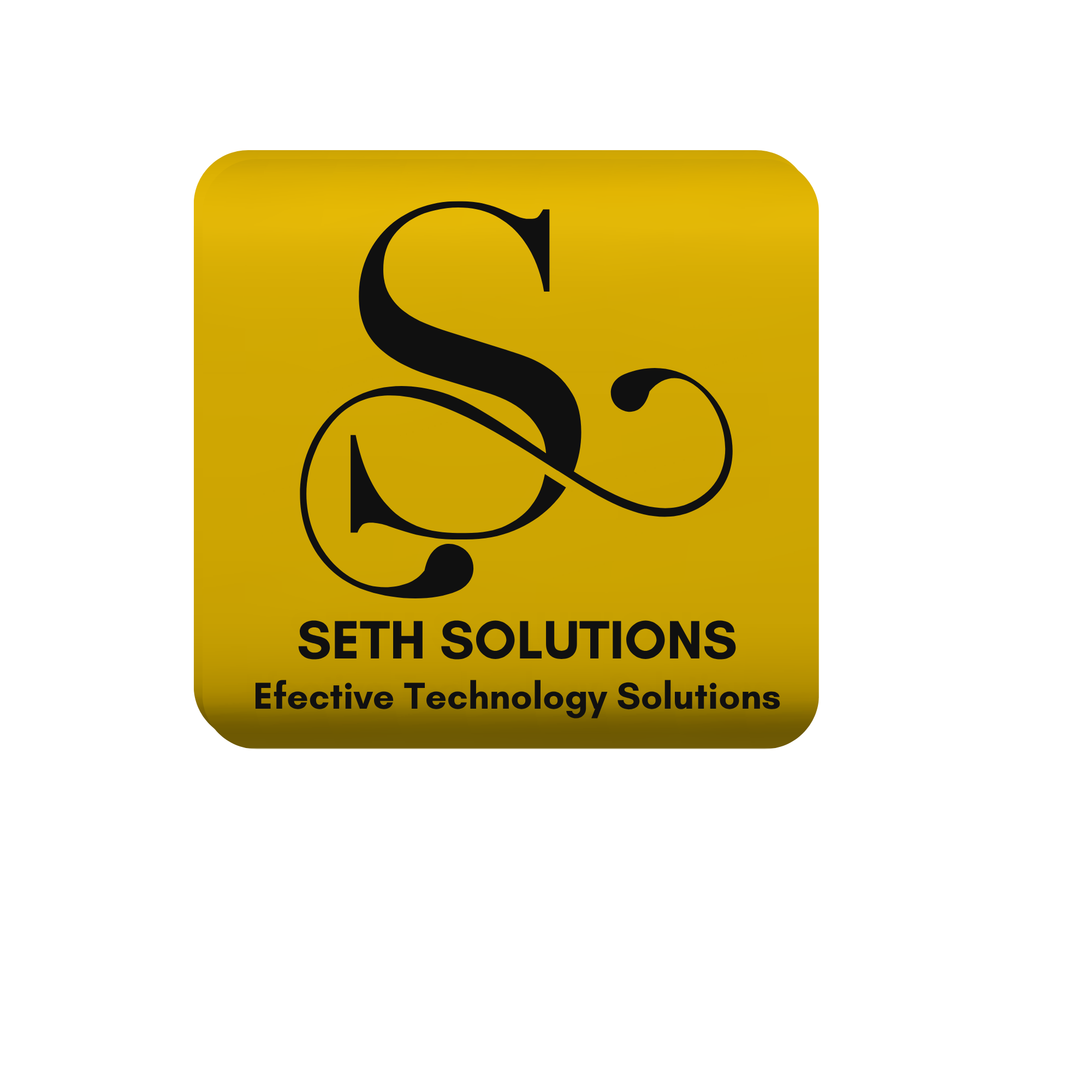 S Solutions
